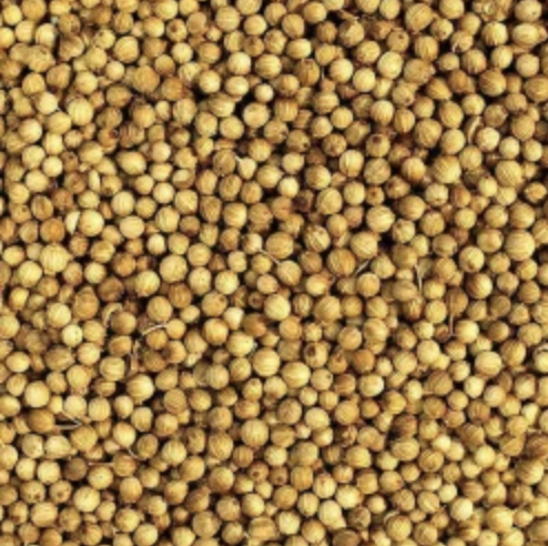 Whole coriander seeds in a scoop.