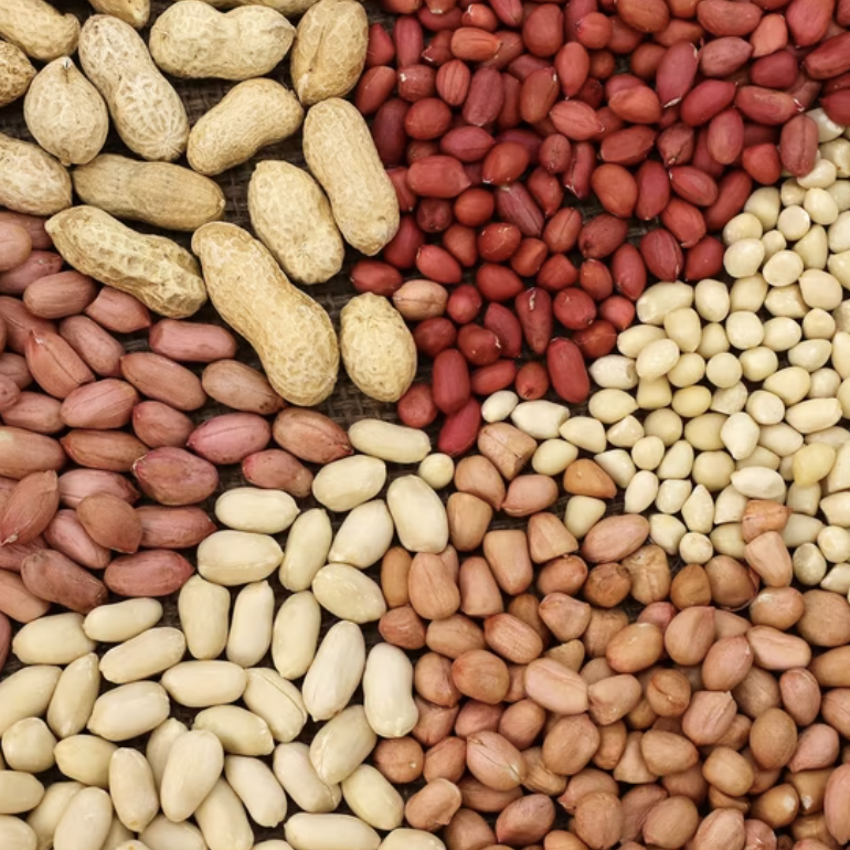 A pile of raw peanuts.