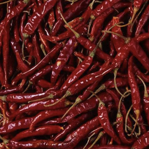 Dried red chillies and red chili powder.