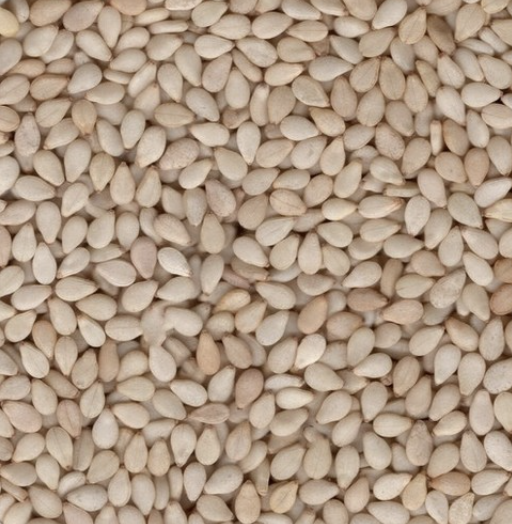 Sesame seeds in a small scoop.